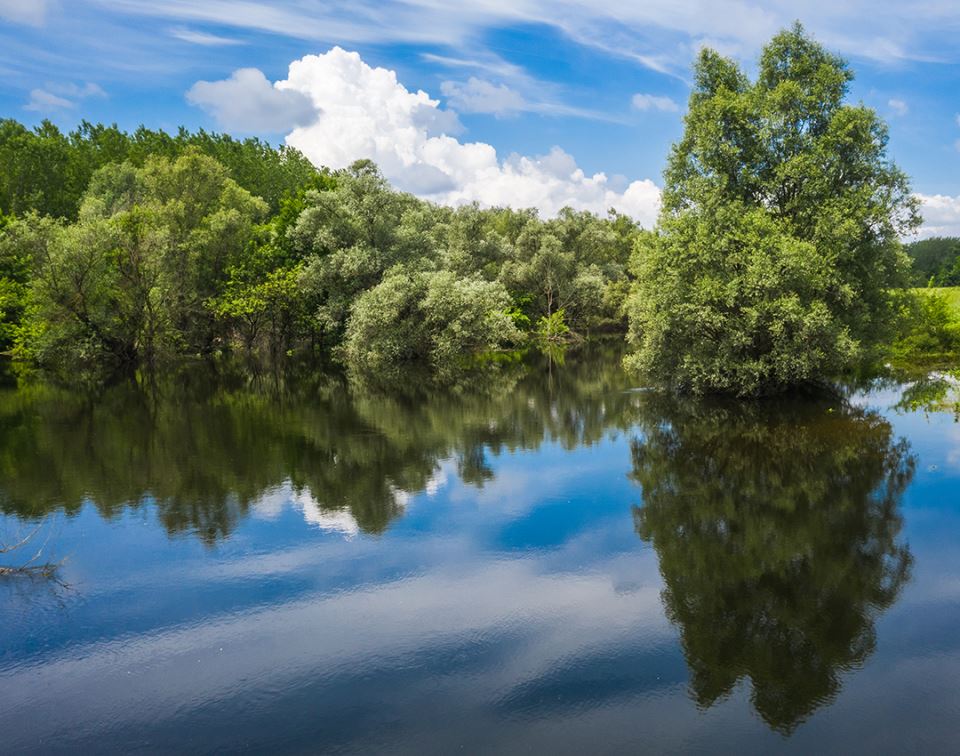 Dunav u Srbiji pun fekalija - Austrija