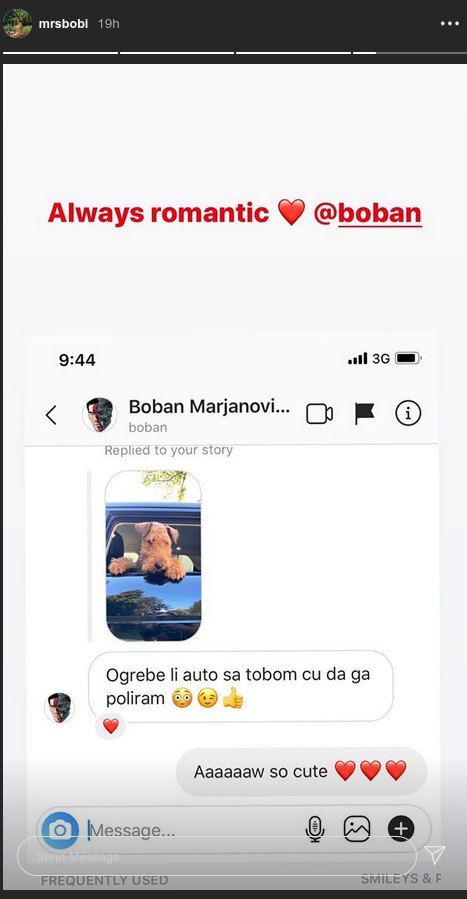 Bobi Marjanović Milica Marjanović dopisivanje kućni ljubimac