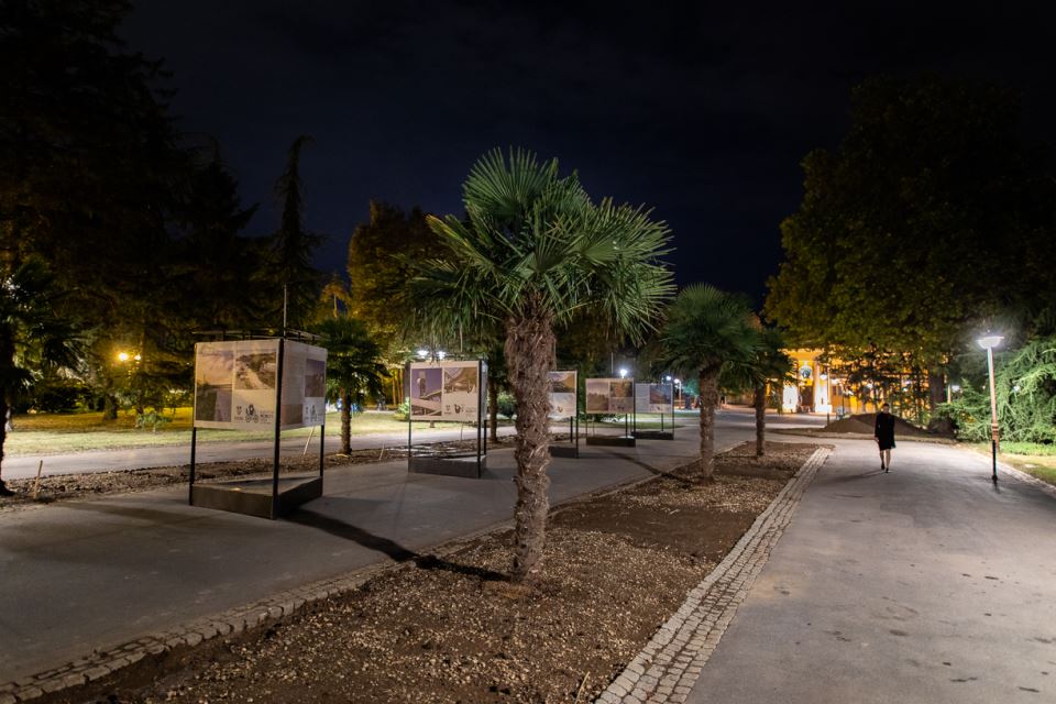 Palme Beograd Kalemegdan Cvijeta Zuzorić fotografije