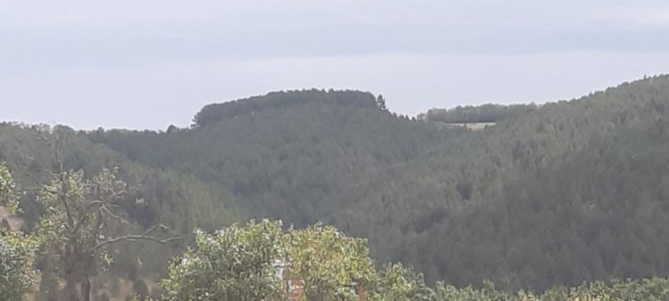 Pranjani Aleksandar Vučić plac