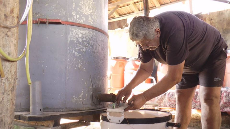 Rakija šljivovica proizvodnja Srbija fotografije