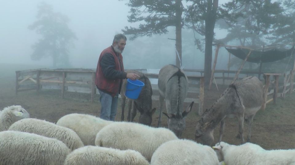 milan vagic dinare zivotna prica