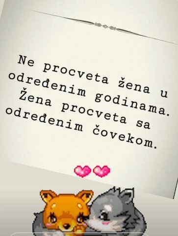 svetlana ceca raznatovic poruka na instagramu zena procveta sa odredjenim covekom foto