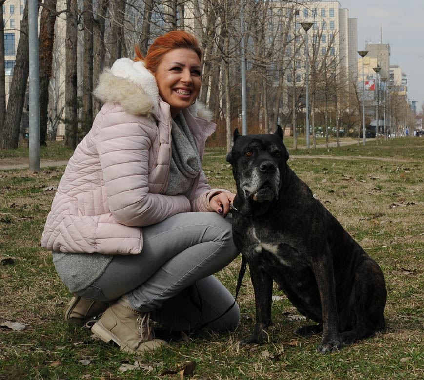 dunja kovac veterinar psi usvajanje zivotinja psi lutalice