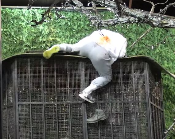 kristijan golubovic pao zadruga video