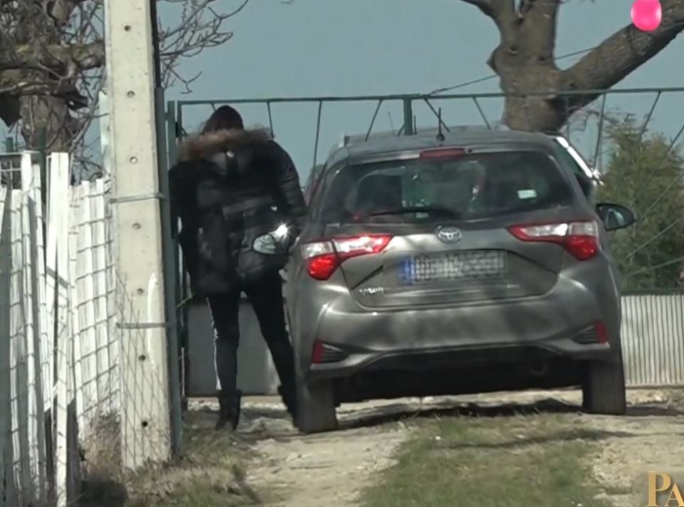 sloboda micalovic i vojin cetkovic vikendica u cortanovcima foto