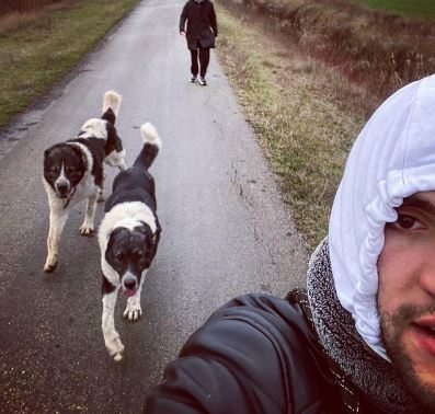 veljko raznatovic oglas psi pobesneo instagram