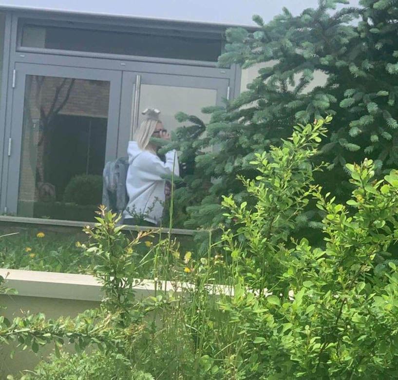 vesna djogani djole djogani skandal prevara