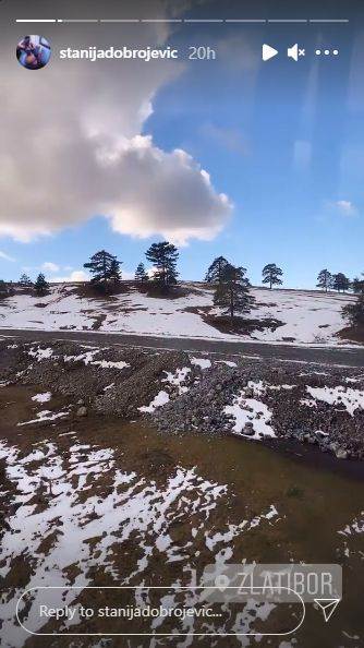 stanija dobrojevic zlatibor ikona foto