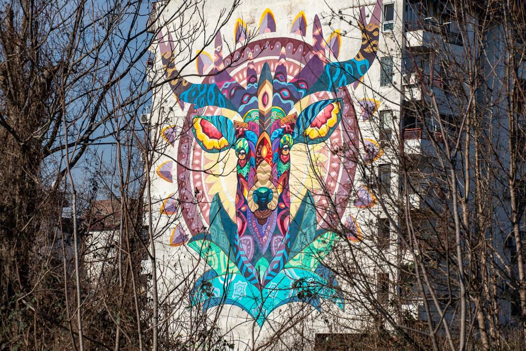 dorćol dunavski kej murali grafiti pijanista