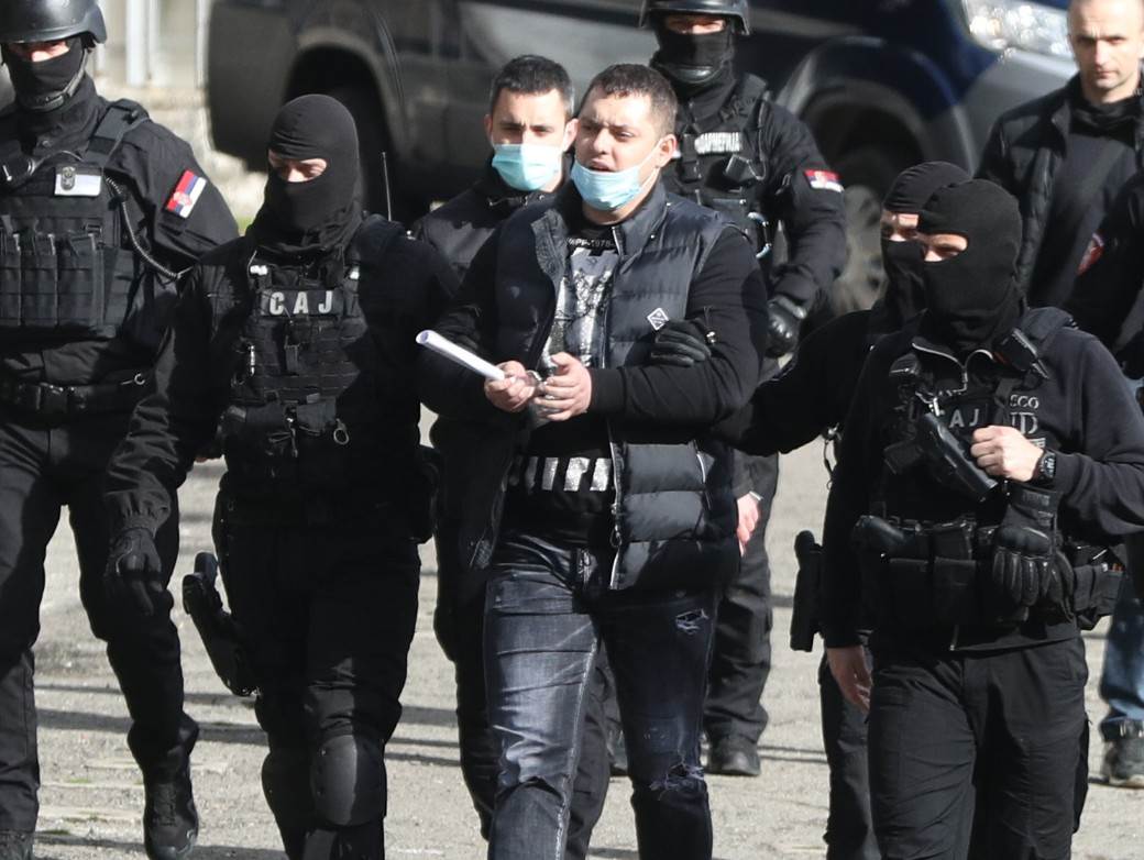 navijaci partizana velja nevolja principi frakcije navijaca podele