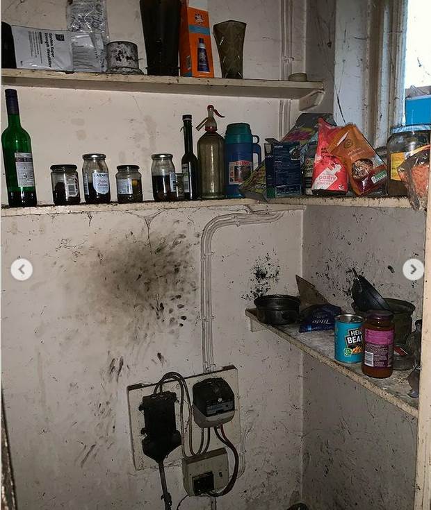 renovirali kucu punu pacova uradi sam uredjenje doma