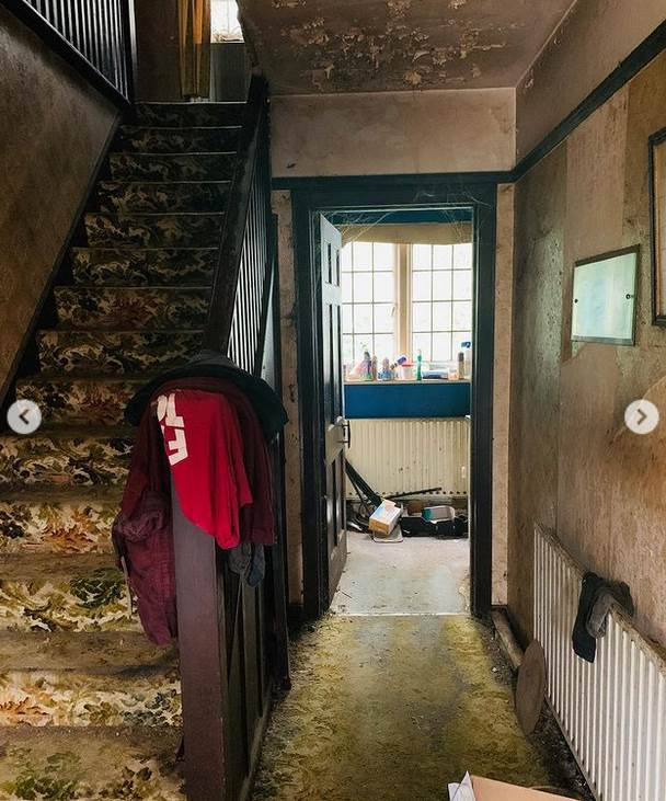 renovirali kucu punu pacova uradi sam uredjenje doma