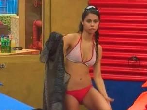 veliki brat violeta kristina ravela bliznakinje decko karl zagorac