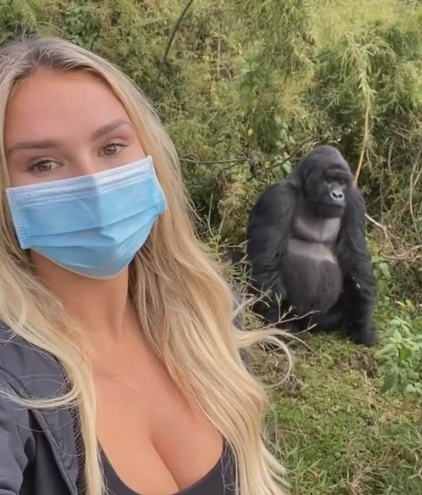 superboul nfl prekid obnazen muskarac utrcao na teren kinsi volanski vitalij zdorovecki