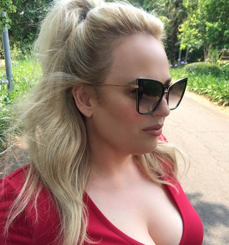 kako smrsati skinula 30 kila secer brza hrana rebel vilson