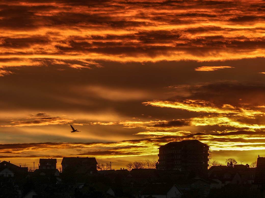 beograd vreme izlazak sunca svitanje zima oblacno fotografije
