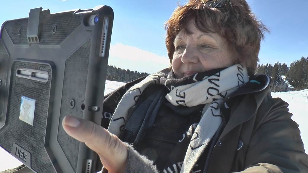 prijepolje kamena gora sveti bor sveto drvo posetioci