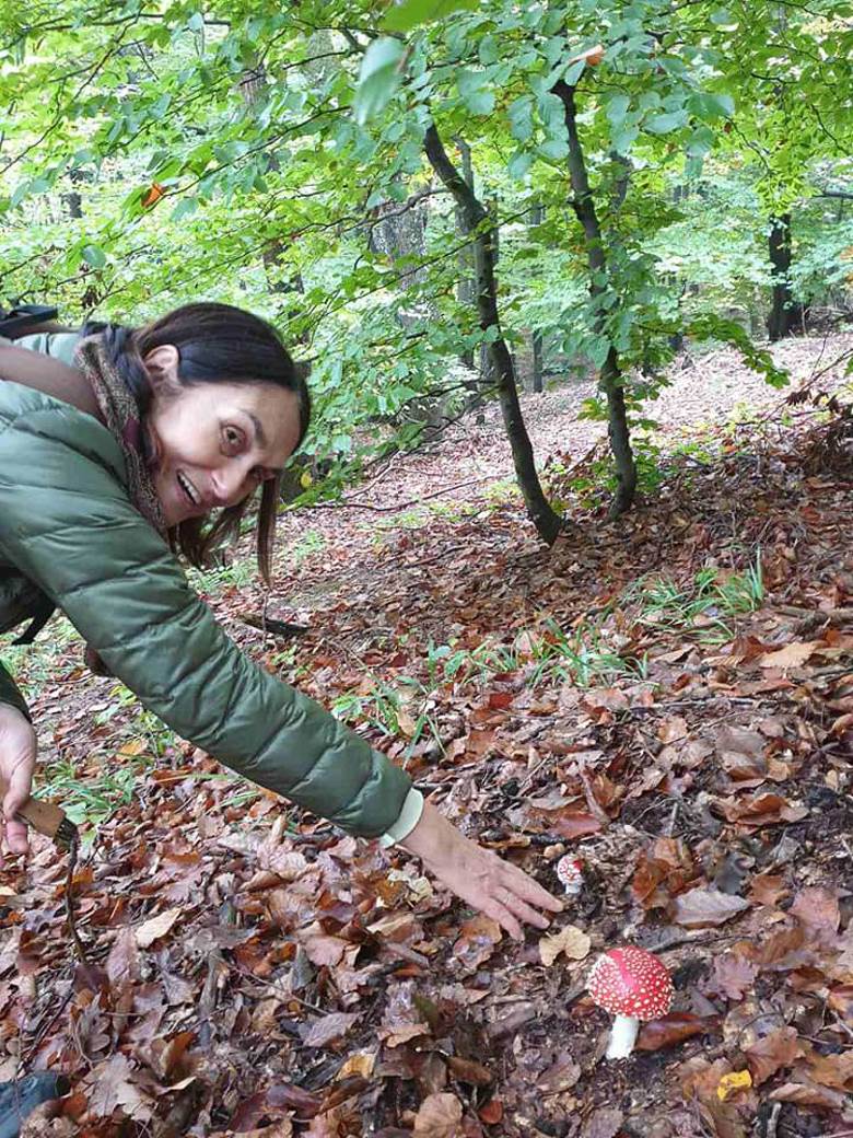 jestive pecurke u srbiji gljive otrovne trovanje jasmina glamoclija halucinogene