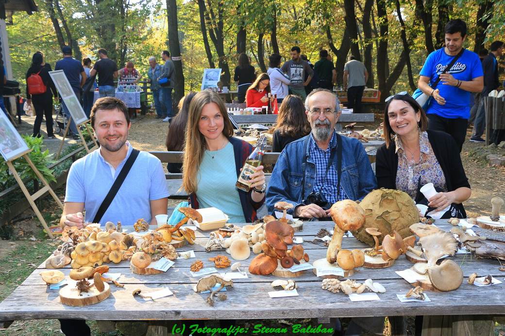 jestive pecurke u srbiji gljive otrovne trovanje jasmina glamoclija halucinogene