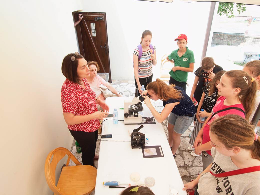 jestive pecurke u srbiji gljive otrovne trovanje jasmina glamoclija halucinogene