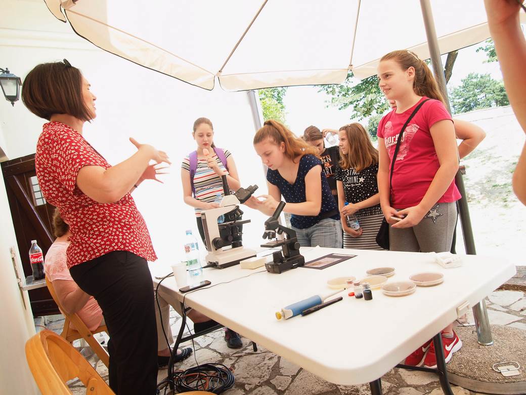 jestive pecurke u srbiji gljive otrovne trovanje jasmina glamoclija halucinogene