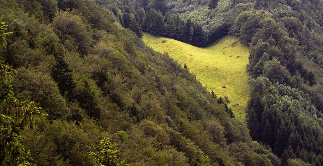 galešnjak zadar hrvatska dan zaljubljenih srce srcolik oblik prirodni fenomen