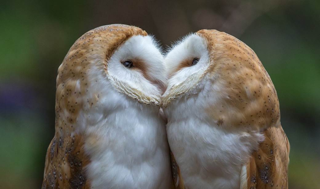 galešnjak zadar hrvatska dan zaljubljenih srce srcolik oblik prirodni fenomen