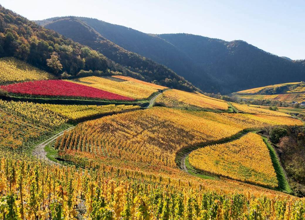 galešnjak zadar hrvatska dan zaljubljenih srce srcolik oblik prirodni fenomen