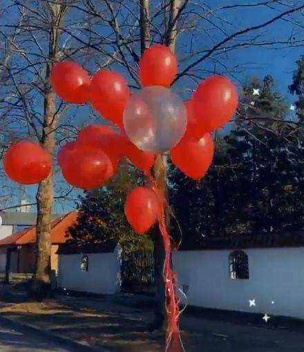 ana korac kija kockar isti automobil spot 