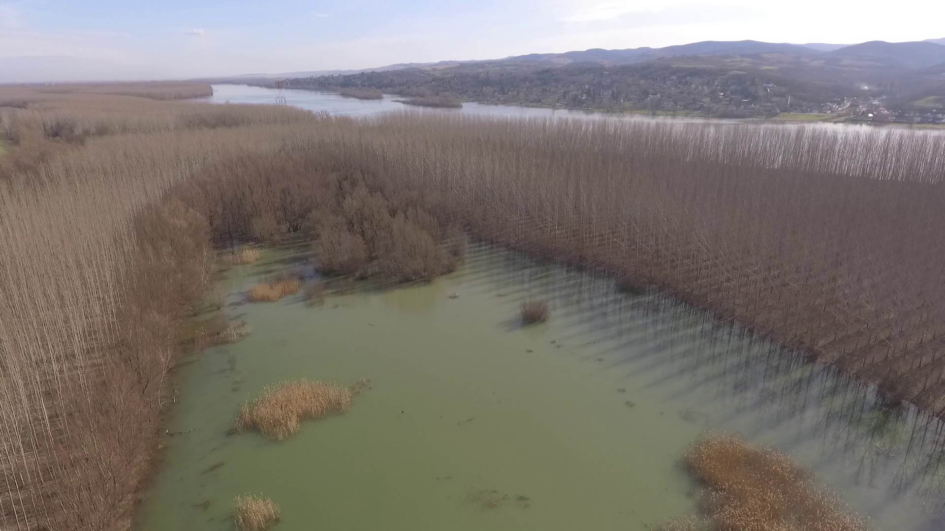 milan matovic begecka jama ribocuvar