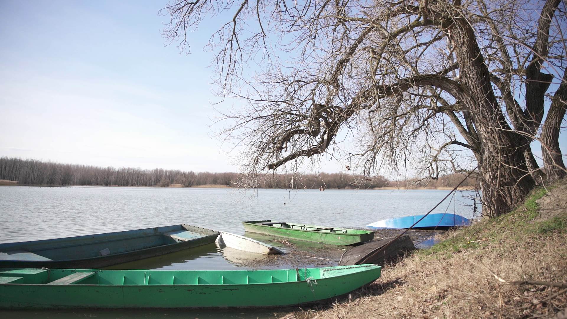 milan matovic begecka jama ribocuvar