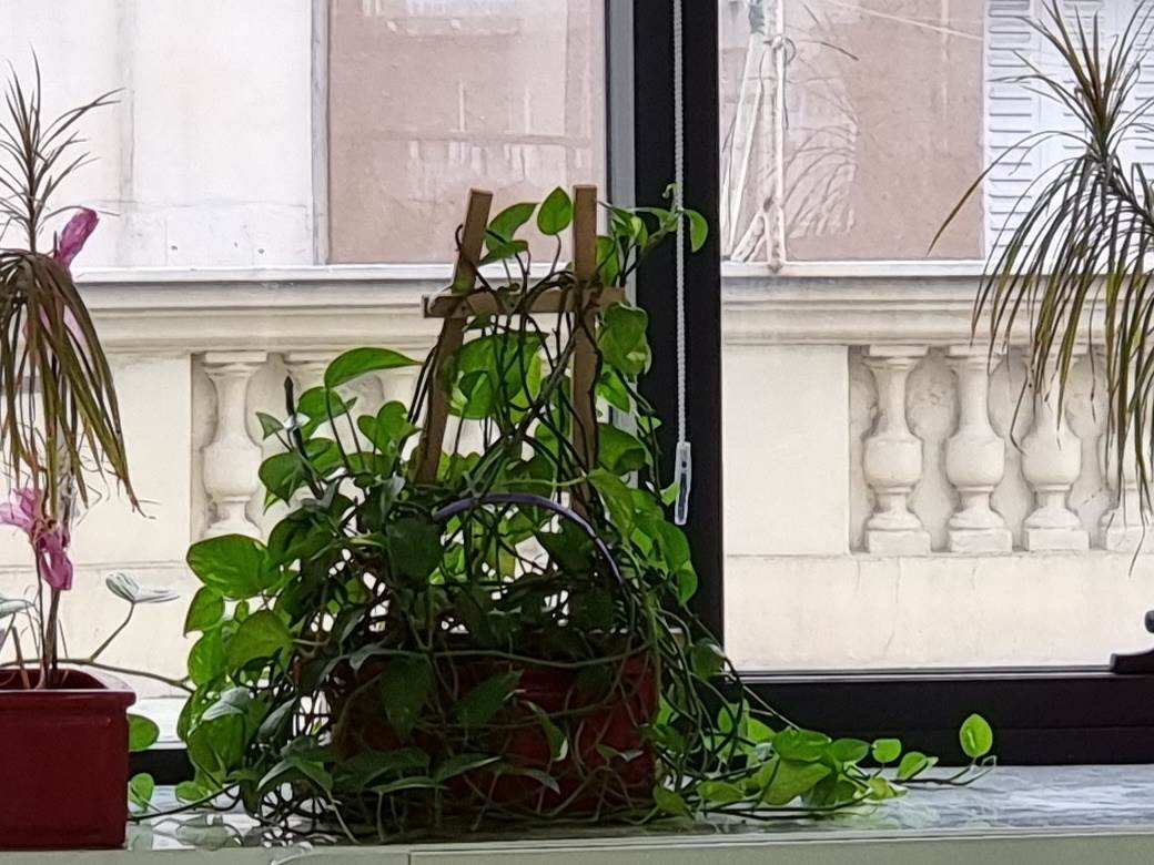 samsung galaxy s21 kamera prodaja kupovina cene utisci kvalitet fotografija video