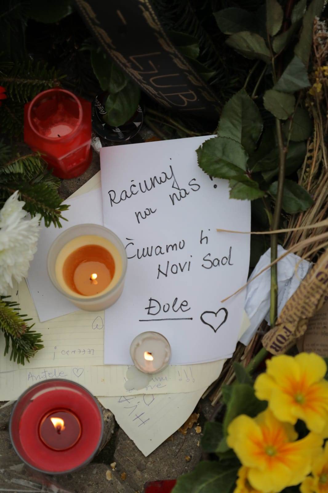 olivera balasevic novi sad slika