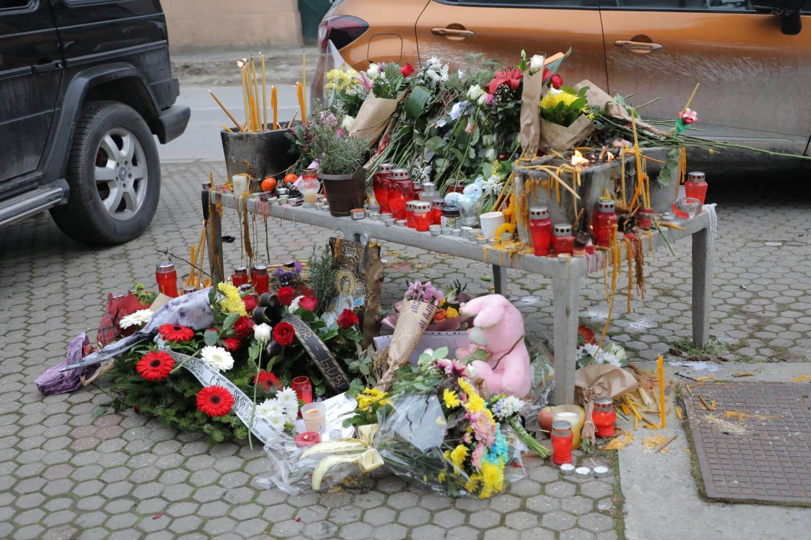 olivera balasevic novi sad slika