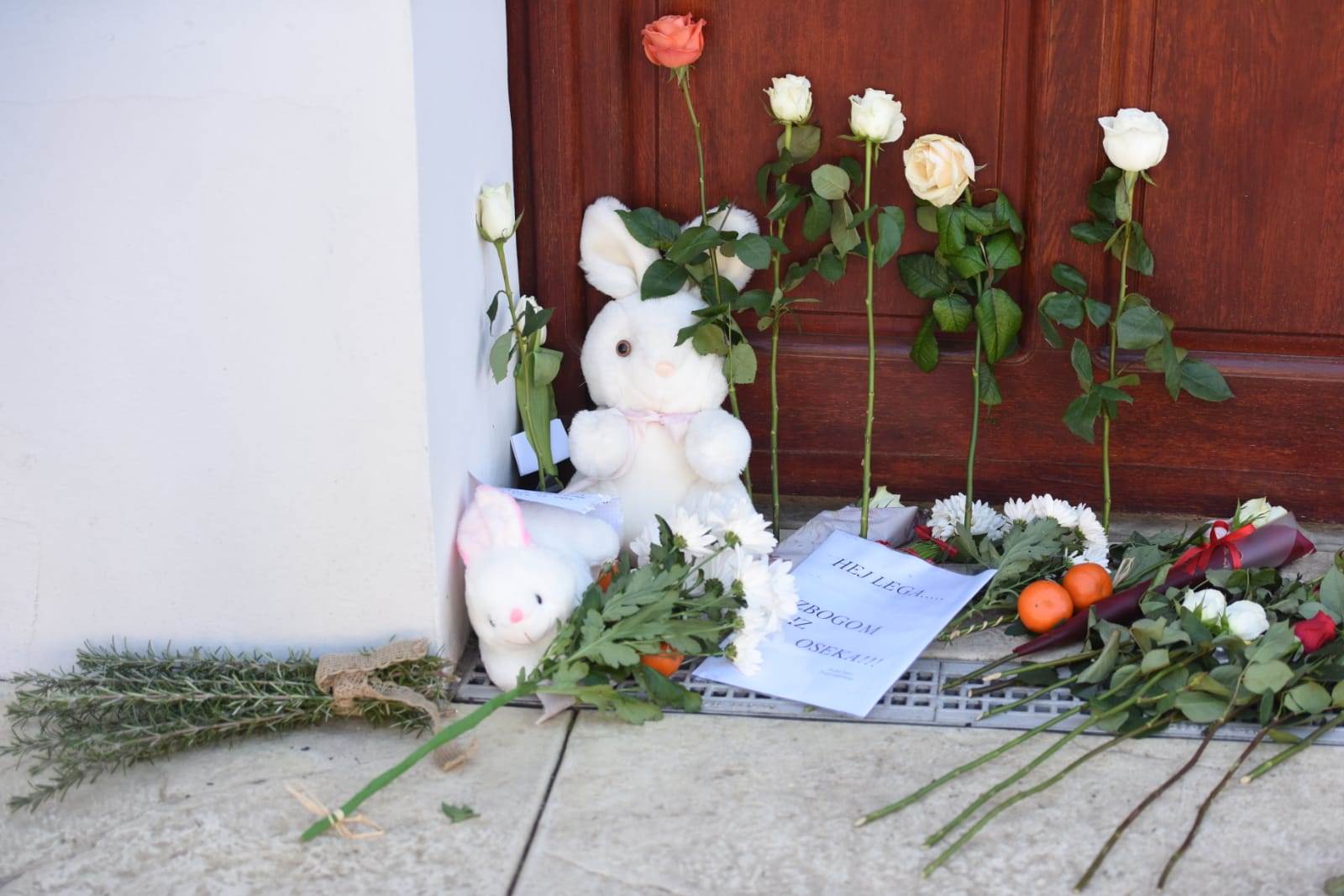 djordje balasevic testament raspodela imovine