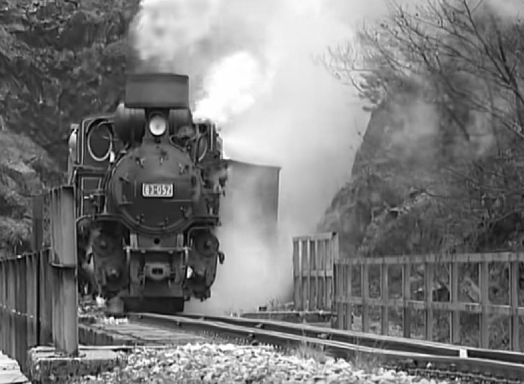 jasenovac istoricar simo brdar sacuvao skelete zrtve ustase ndh