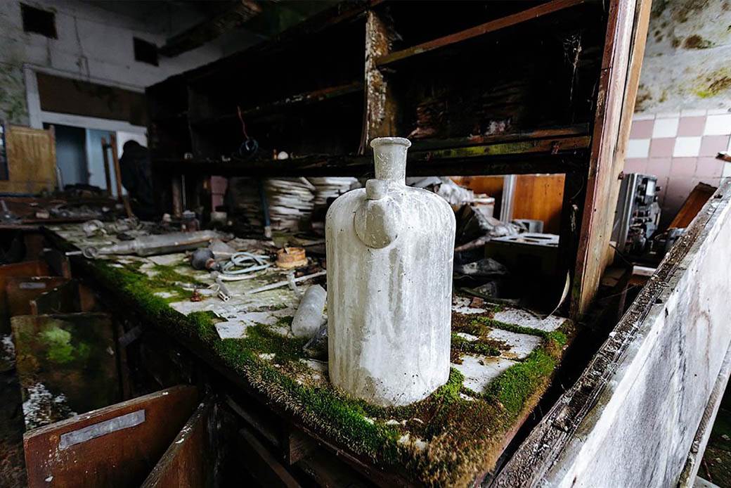 plavi psi lutalice zagadjenje otrov fabrika rusija fotografije