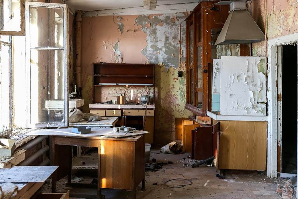 plavi psi lutalice zagadjenje otrov fabrika rusija fotografije