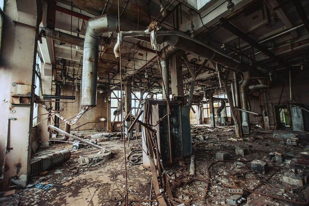 plavi psi lutalice zagadjenje otrov fabrika rusija fotografije