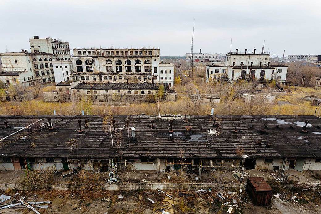plavi psi lutalice zagadjenje otrov fabrika rusija fotografije