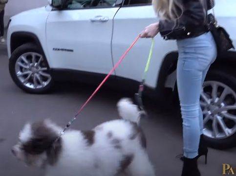 lea kis cerka sara mia slike u kupacem