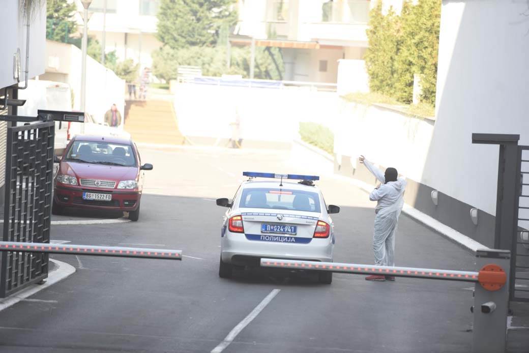 hapsenje vodja navijaci alkatraz krivicna dela