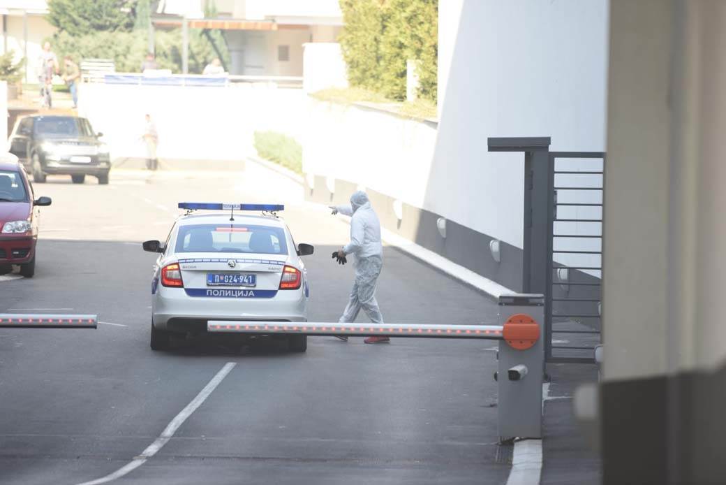hapsenje vodja navijaci alkatraz krivicna dela