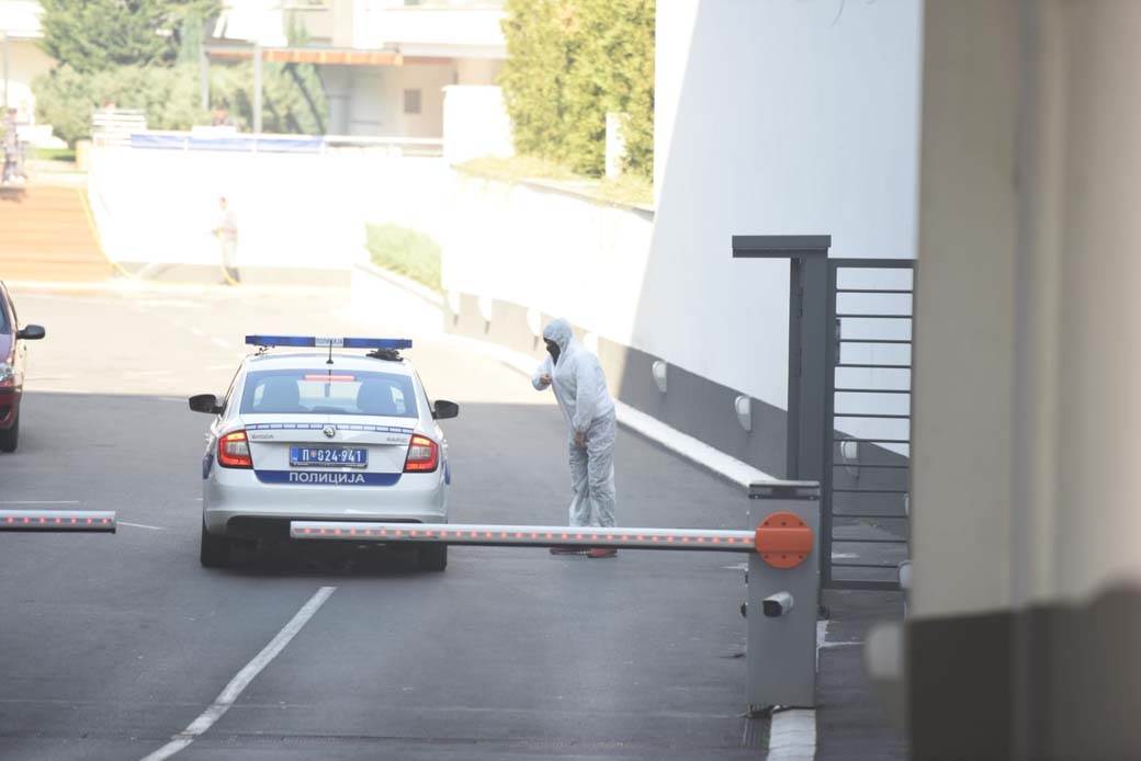 hapsenje vodja navijaci alkatraz krivicna dela