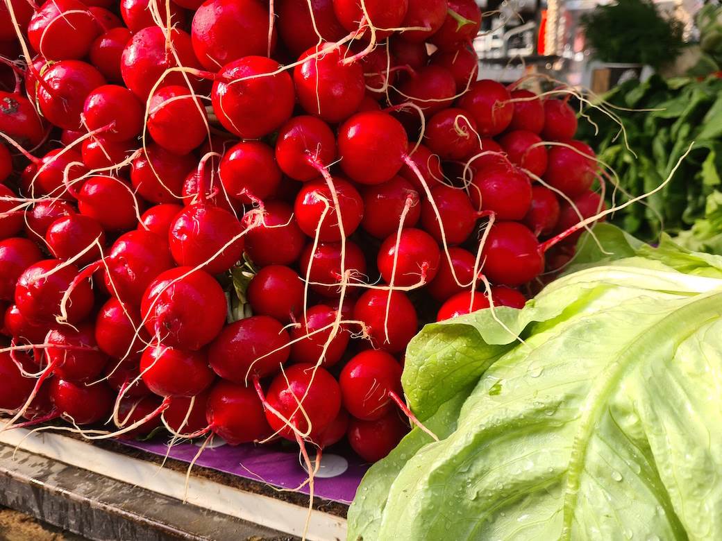 cene hrane srbija svet