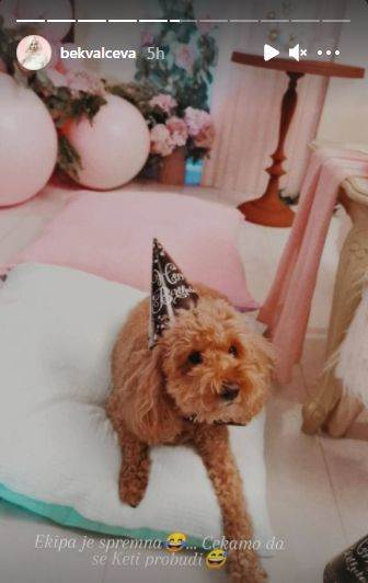 natasa bekvalac cerka katja rodjendan dekoracija slavlje