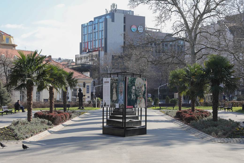 palme kalemegdan sadnice cvijeta zuzorić