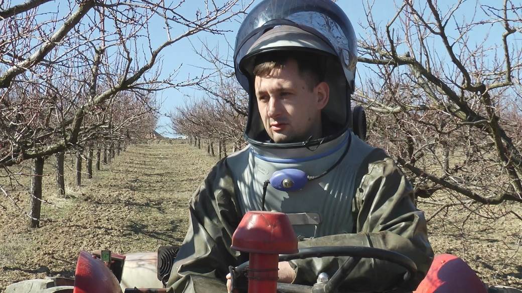 gornja gorevnica cacak kajsija vocari foto