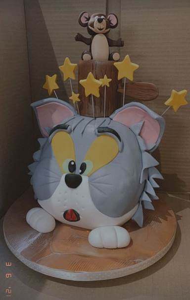 aleksandra prijovic sin rodjendan foto